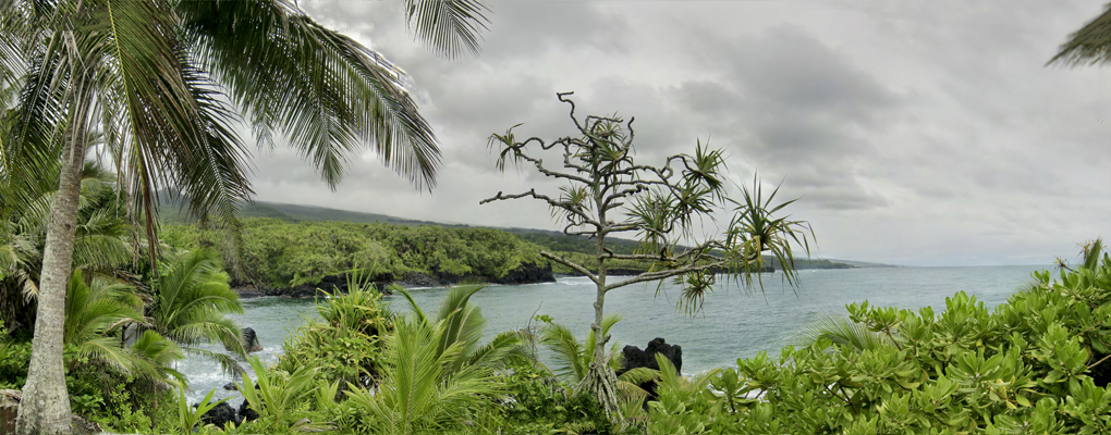 SCENERY Beach`LC SB 5